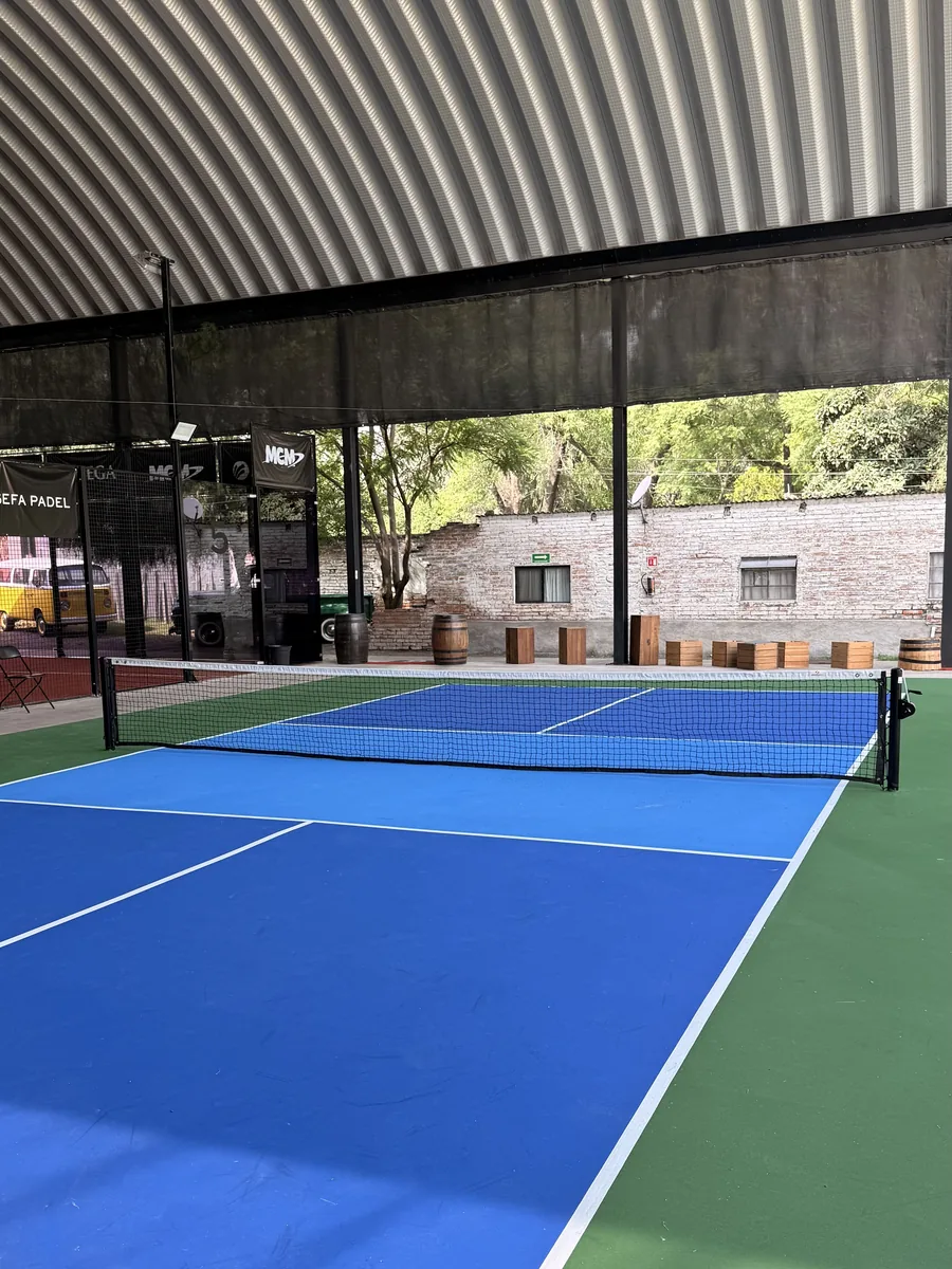 Cancha de pickleball vista de lado, con la barda de ladrillo y los árboles del club